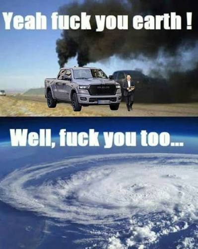 images (9).jpeg